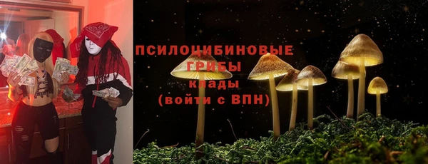 прущий лед Пестово