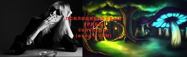 прущий лед Пестово