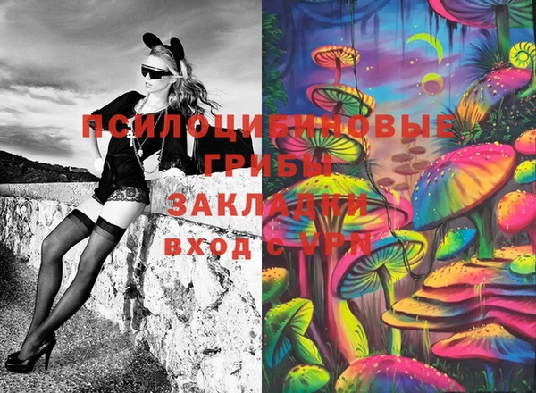 прущий лед Пестово